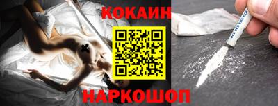 стафф Кингисепп