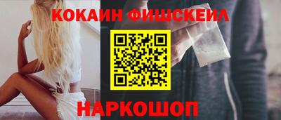 стафф Кингисепп