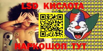 стафф Кингисепп