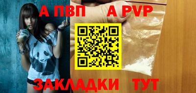 стафф Кингисепп