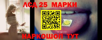 стафф Кингисепп