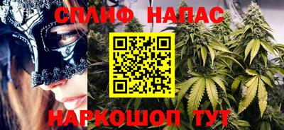 гидра Кимры