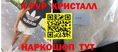 стафф Кингисепп