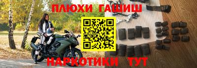 стафф Кингисепп