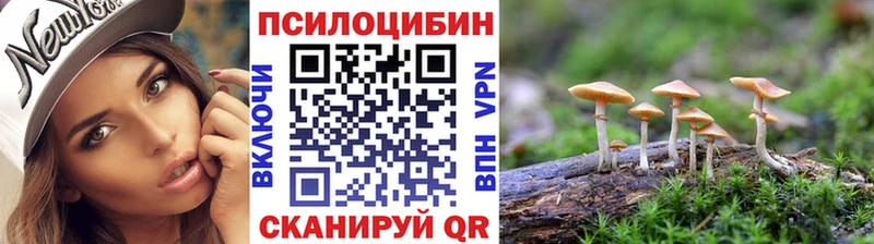 Псилоцибиновые грибы Psilocybine cubensis  Новошахтинск 