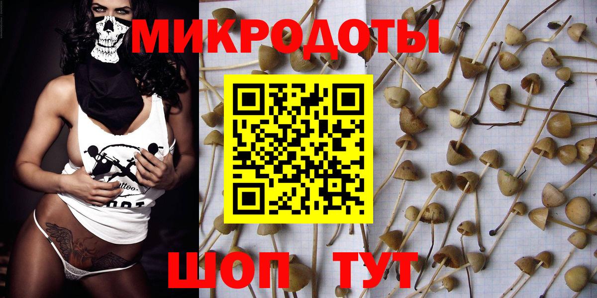 Новошахтинск  Галлюциногенные грибы GOLDEN TEACHER  Вход с VPN 